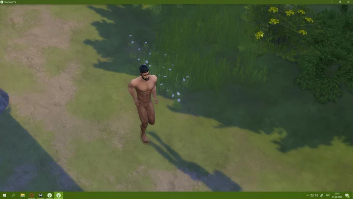 How I Installed the Sims Again or the Incredible Day of My SIM Card - My, The sims, Computer games, Simulator, Oddities, naked and funny, Shock, Humor, Screenshot, Longpost, 