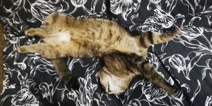 ������� ������