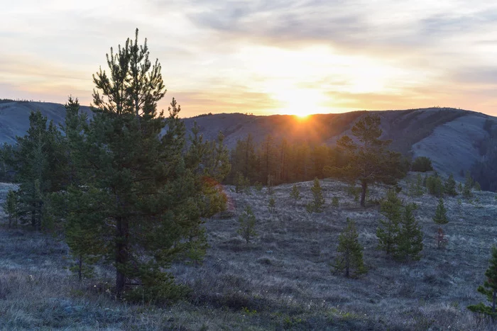 Sunrise in the mountains - My, Nature, The sun, Sky, Forest, Nikon d3400, Landscape, dawn, Spring, Tree, beauty of nature, 