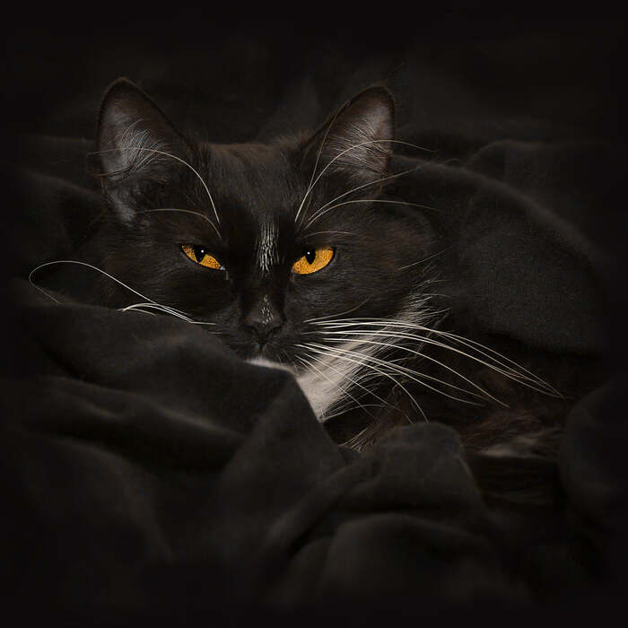 ��� ��������� ������� ����� ������� ���� ����������