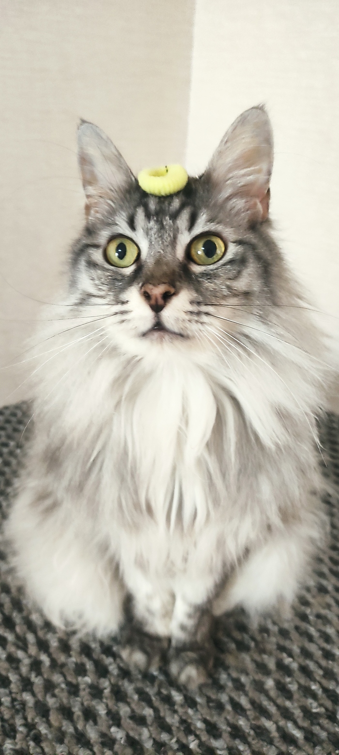 � � ����������. ��� ��� ����� ������