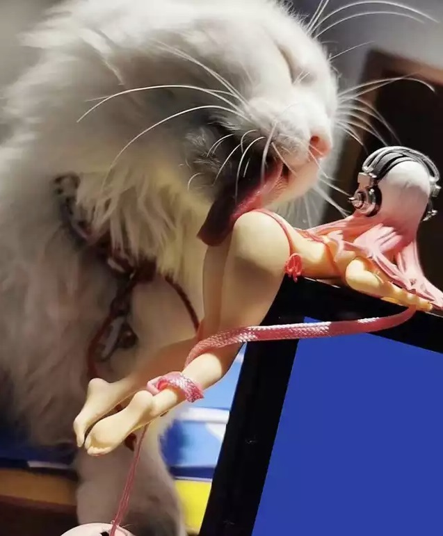 I don't even know if it's NSFW or not :) - NSFW, cat, Figurines, Anilingus, Humor, Repeat, 