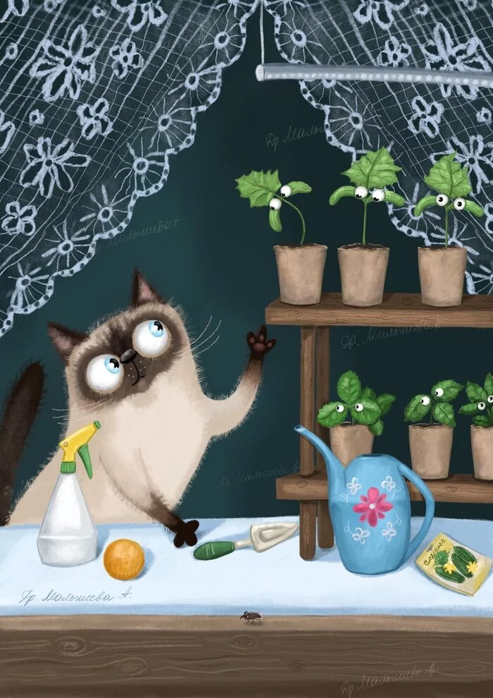 Cat and seedlings - cat, Drawing, Pets, Seedling, Cucumbers, 