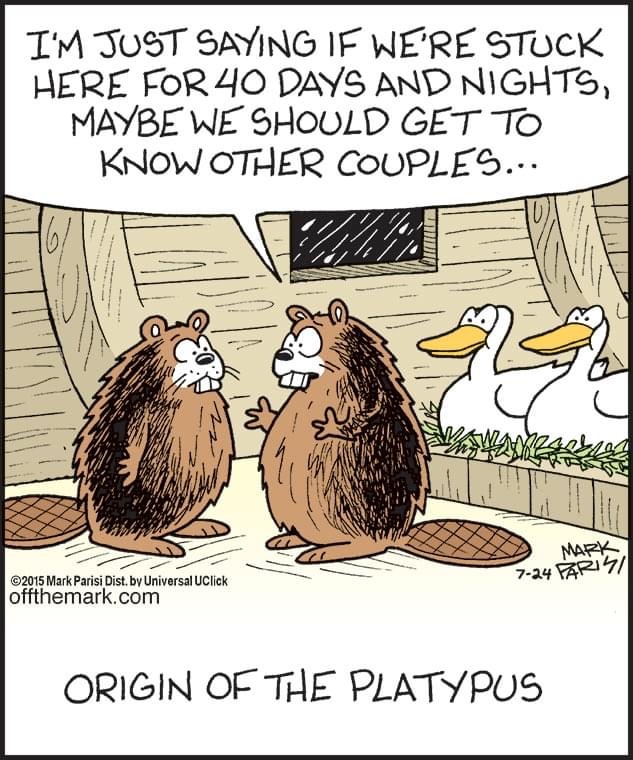 Origin of platypuses - Comics, Offthemark, Platypuses, Beavers, Duck, 