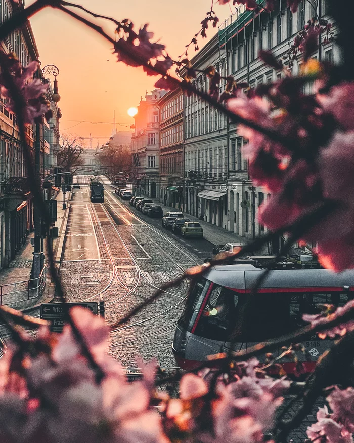 Рассвет в пражском районе Уезд - Чехия, Прага, Утро, Рассвет, Фотография, 