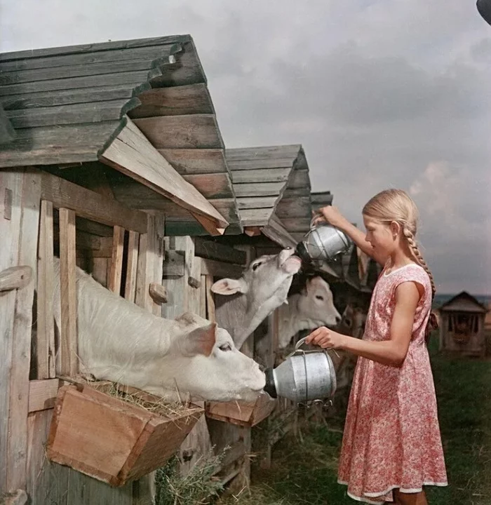 Lovely shot from the village. 1977 year - the USSR, History of the USSR, Back to USSR, 