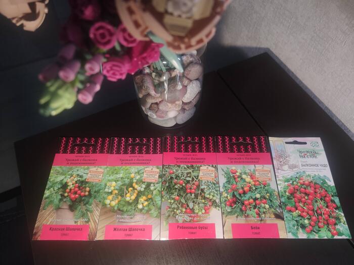 Tomatoes in the apartment. New - My, Pepper, Hobby, Tomatoes, Vegetable garden on the windowsill, Vegetable garden in the city, Microgreens, Housewife, Boasting, Seedling, Basil, Longpost, 