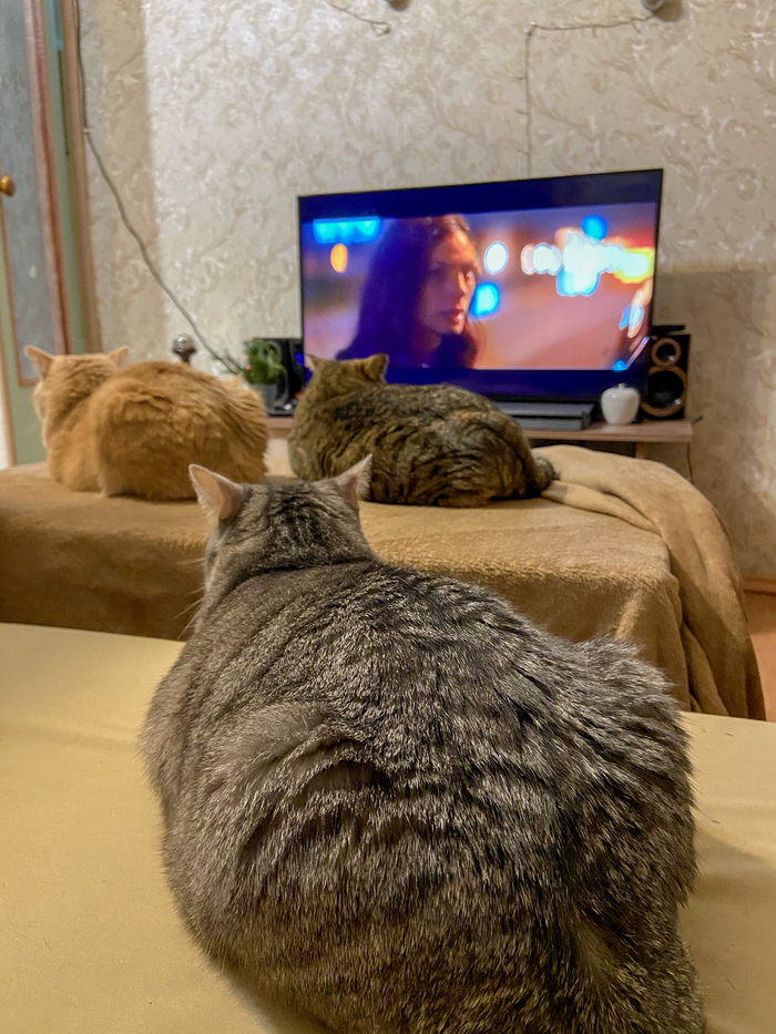 �������� �������� ����