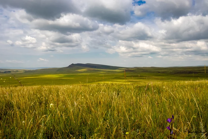 Khakass State Nature Reserve - My, Nature, Khakassia, Summer, Lake, Relaxation, The nature of Russia, Reserves and sanctuaries, Belo, Vacation, The photo, Canon, beauty of nature, 2021, Travels, Travel across Russia, Longpost, 