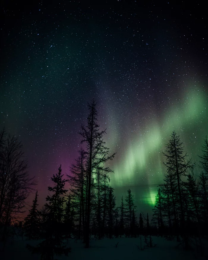 Polar Night - Time of Bright Colors - My, Russia, Romance, Night, polar night, North, 