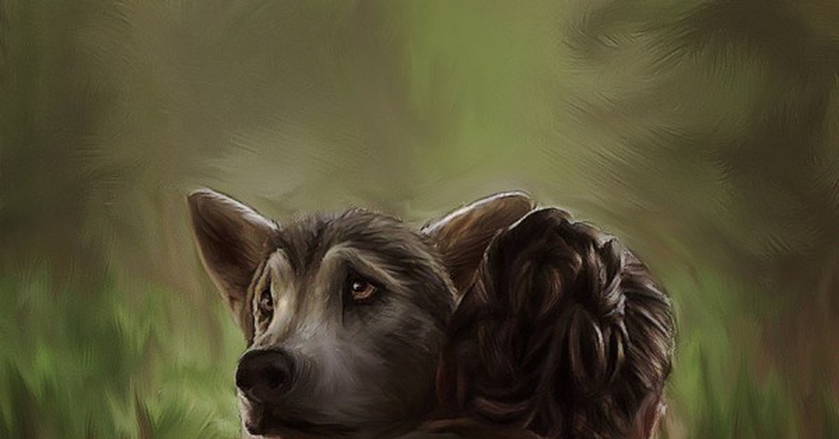 Nymeria Stark