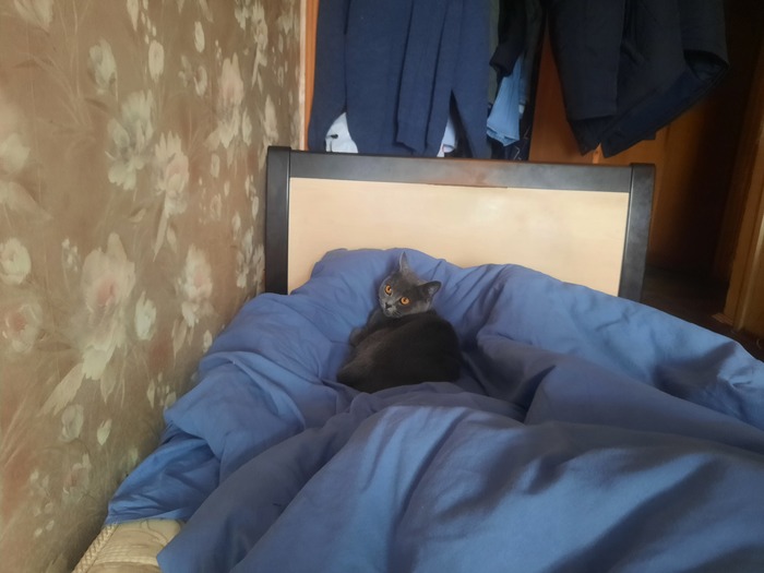  , , , 