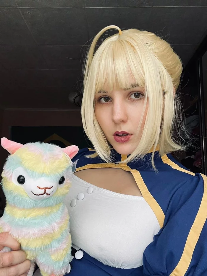 Cosplay on Saber with Alpaca - Cosplay, Fate grand order, Anime, Saber, Fate-stay night, Video, Vertical video, Longpost, 