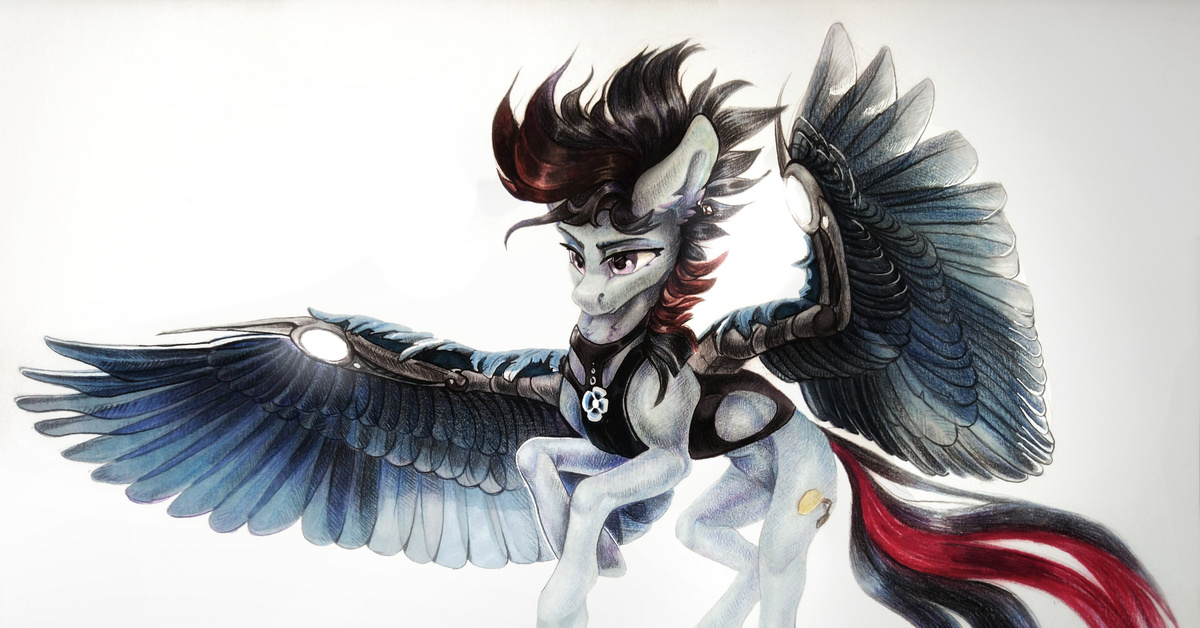 Mlp Стальные Крылья