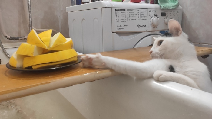 ��� ��� ���������? �� ������� ���� - �� ����������?