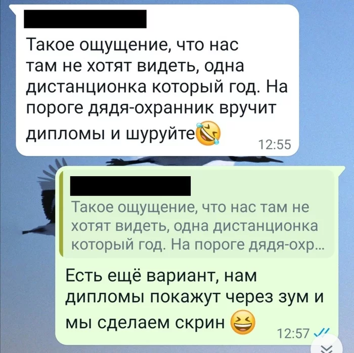 Дистанционный диплом - Моё, Зум, Whatsapp, Дистанционное обучение, Диплом, , Скриншот