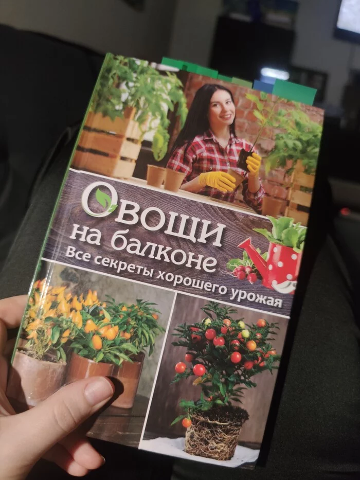 Vegetables on the balcony. All the secrets of a good harvest - My, Hobby, Boasting, Tomatoes, Vegetable garden on the windowsill, Housewife, Book Review, Reading, Vegetable garden in the city, Humor, Longpost, 