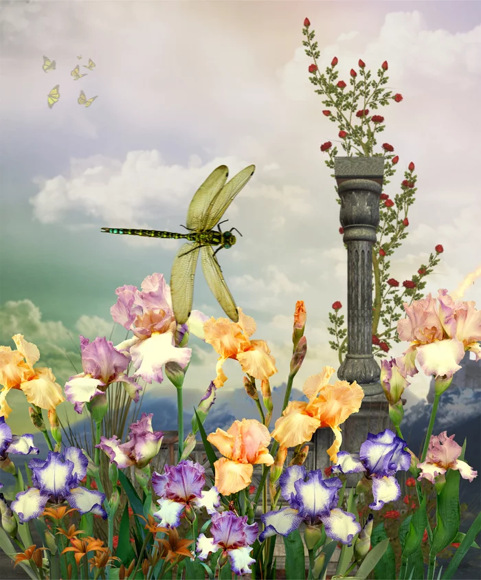 Dragonfly - My, Photoshop, Collage, Treatment, Fantasy, Longpost, 