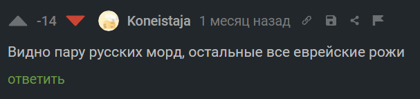 Продажности ради - Моё, Ненависть, Русофобия, Негатив, Комментарии на Пикабу, Скриншот, Мат, 