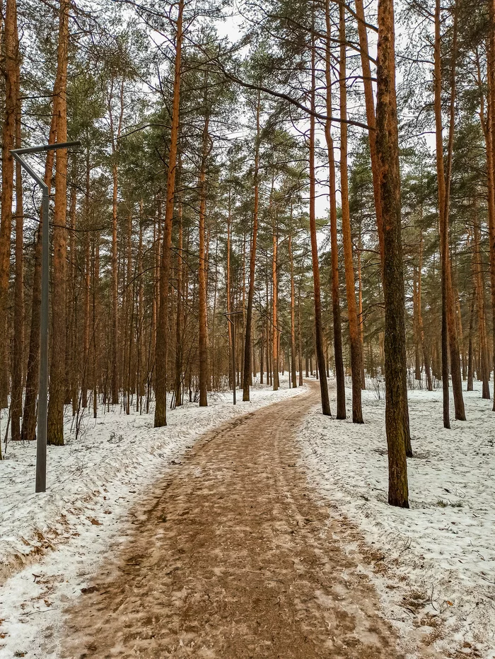 Лужи и грязь дорог - Моё, Фотография, Апрель, Природа России, Лесопарк, 