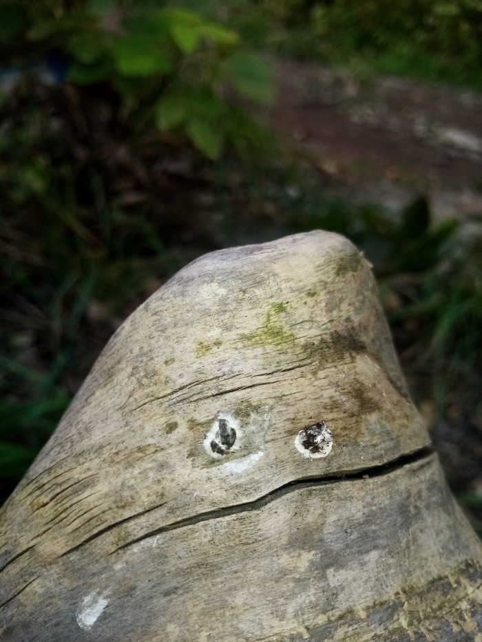 Я вроде русский. А вроде и корни с Украины. Наболело