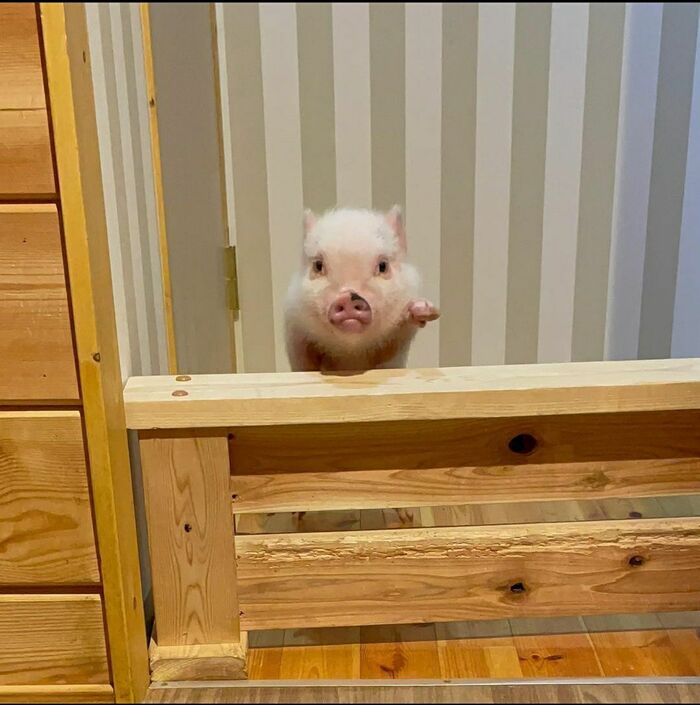 ��������� �����