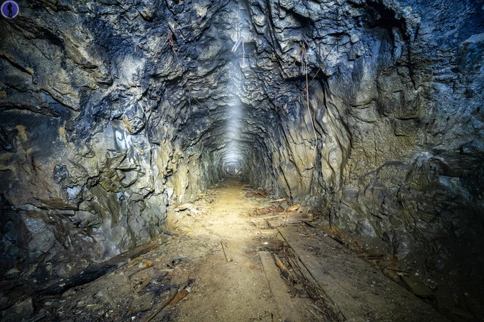    :   "" , , , , ,  , 