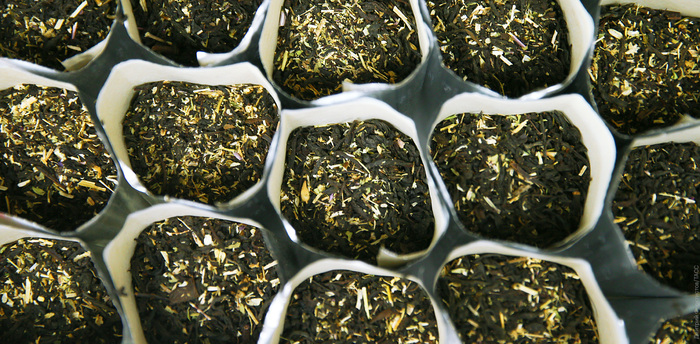 ��������� ������ ��������� ��������� ������ �� ������� � ��������� � ������