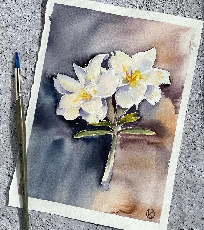 Adenium watercolor - My, Watercolor, Drawing, Flowers, Adenium, Learning to draw, Beginner artist, Longpost, 