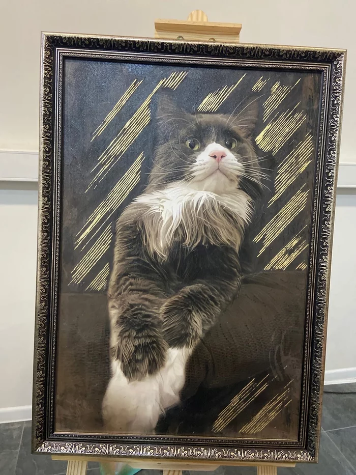 Meet us.... Timon... - My, cat, Maine Coon, Pets, Fluffy, Longpost, 