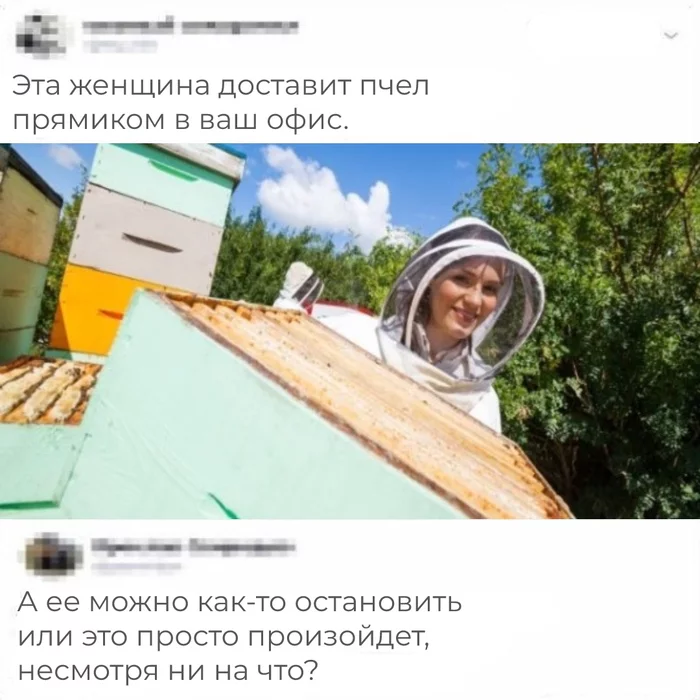 Were the bees ordered? - Beekeeping, Office, Delivery, Humor, Picture with text, 