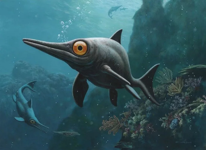 Ophthalmosaurus: Huge eyes that required a special bone in the skull. Why do marine lizards need such an organ? - A fish, Dinosaurs, Extinct species, Paleontology, Animal book, Yandex Zen, Longpost, 