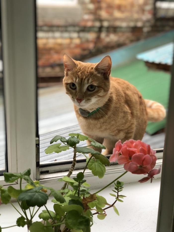 ����� ������ ������