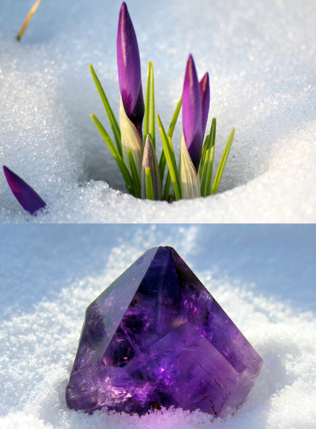 In anticipation of spring... - My, Minerals, Amethyst, Flowers, Spring, Snow, Dream, Collage, 