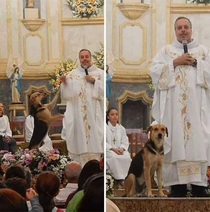 Good Minute - Dog, Brazil, Priests, Kindness, 