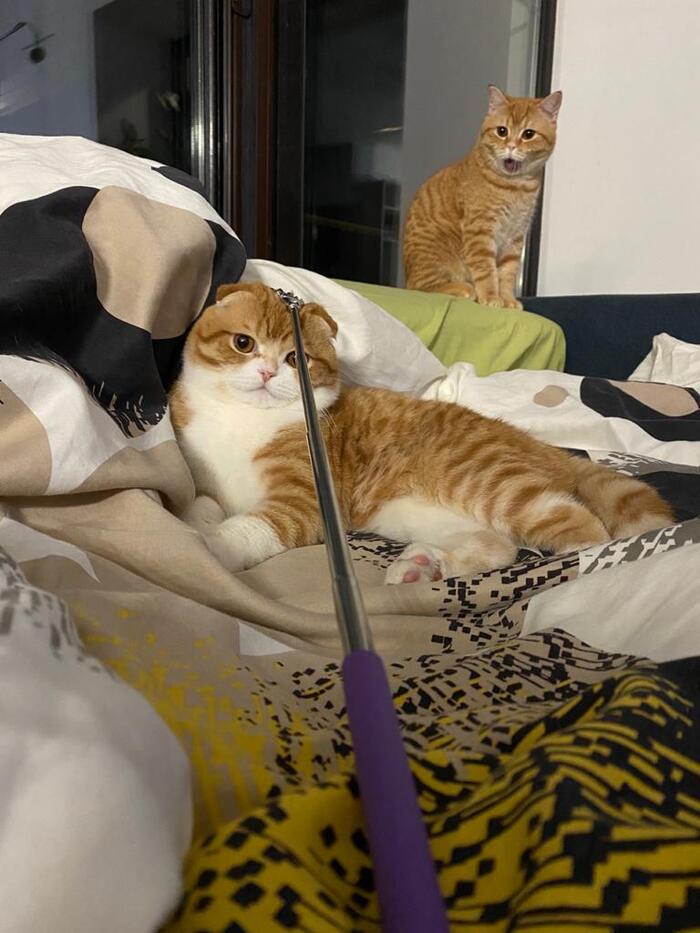 ��� �� ���������� �����������?!