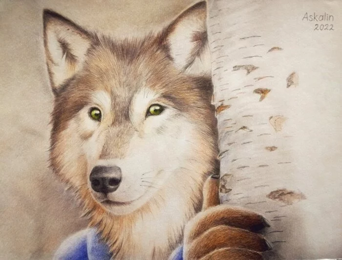 Wolf - Furry, Furry wolf, Andrejskalin, Colour pencils, Traditional art, Drawing, Birch, Art