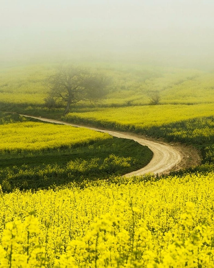 ����������, ���� �������, ������� �������, ����������, �������, ����