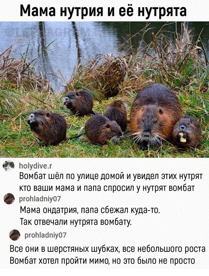Мама Нутри | Пикабу
