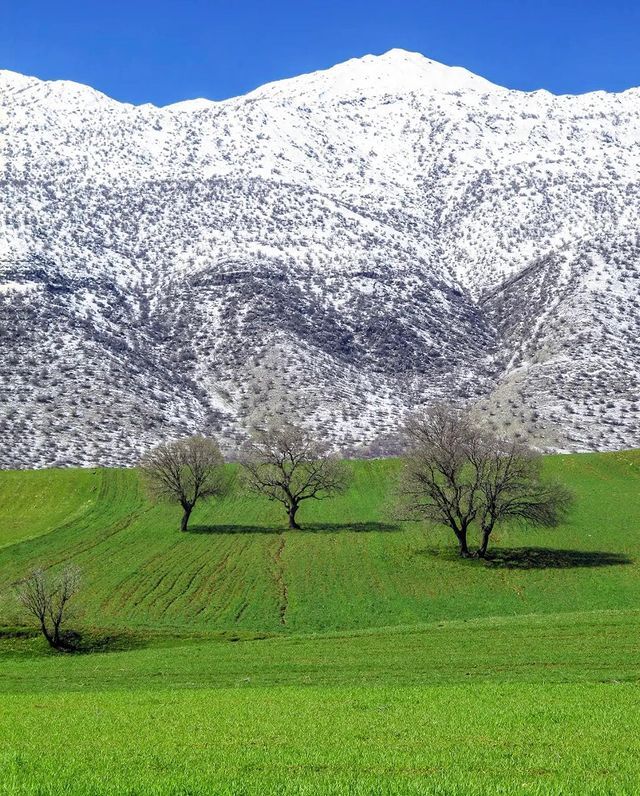 Lorestan, Iran - Iran, The photo, beauty, beauty of nature, Nature, wildlife