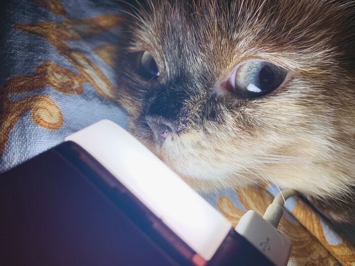 ������ ��� �������� ������?