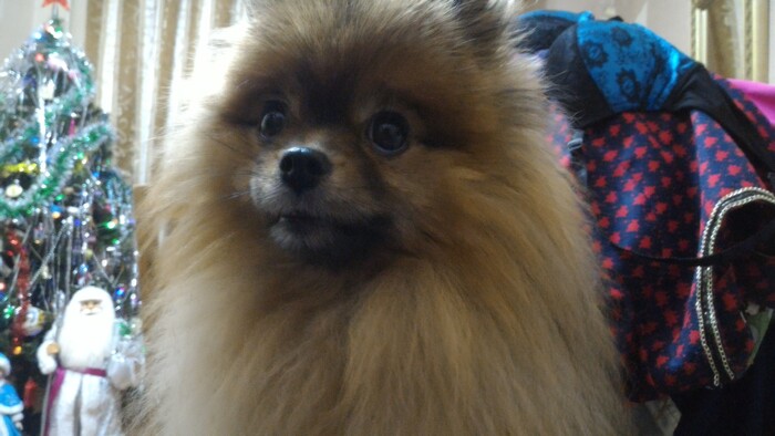 Пикабушника пост ;-)