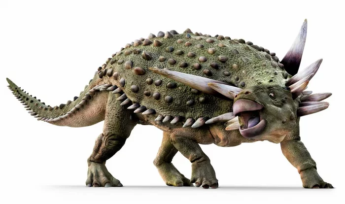 Sauropelta: A hedgehog based on a dinosaur. Its spikes put predators in a stupor, but low mobility ruined the titan. - Dinosaurs, Extinct species, Animal book, Yandex Zen, Longpost, 