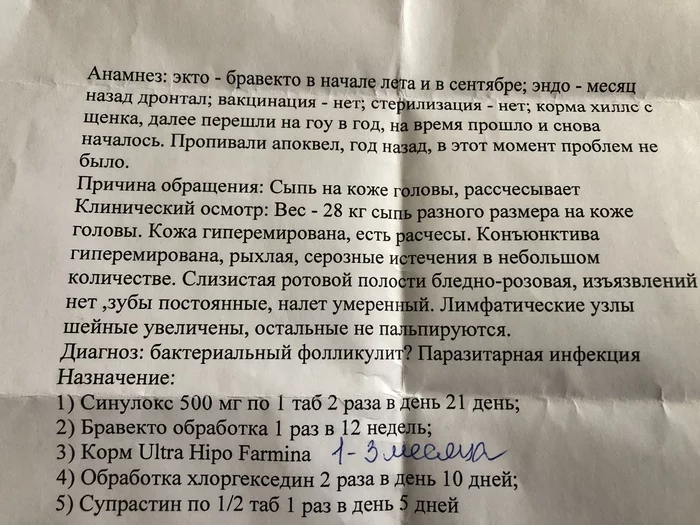 Подскажите контакты ветеринара-дерматолога, г. Москва - Без рейтинга, Сила Пикабу, Ветеринария, Москва, 