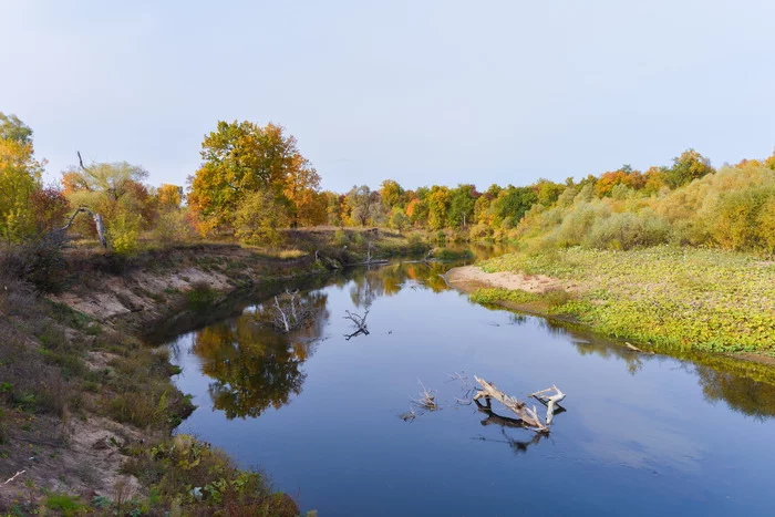 Paints on the river - My, River, Landscape, Autumn, Water, Nature, beauty of nature, The nature of Russia, Nikon, Nikon d3400, Ch60, 