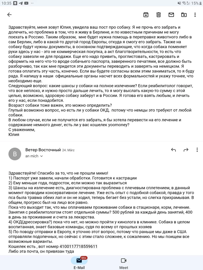 Осторожно, мошенник на благотворительности [Деньги вернули] - Ветеринария, Помощь животным, Потеряшка, Спасение животных, Собака, Спасение, Тульская область, Узловая, Вертикальное видео, Негатив, Бездомные животные, Приют для животных, Текст, Длиннопост