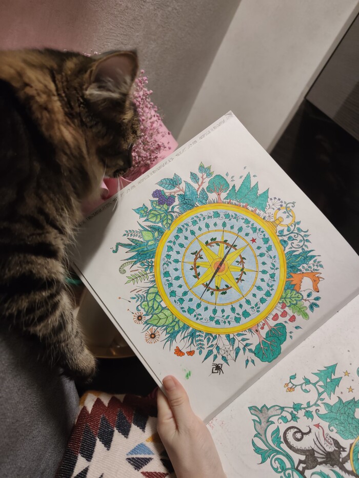 Раскраска Зачарованный лес Хобби, Раскраска-антистресс, Раскраска, Хвастовство, Цветные карандаши, Зачарованный лес, Длиннопост, Рукоделие без процесса