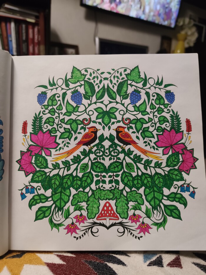 Раскраска Зачарованный лес Хобби, Раскраска-антистресс, Раскраска, Хвастовство, Цветные карандаши, Зачарованный лес, Длиннопост, Рукоделие без процесса