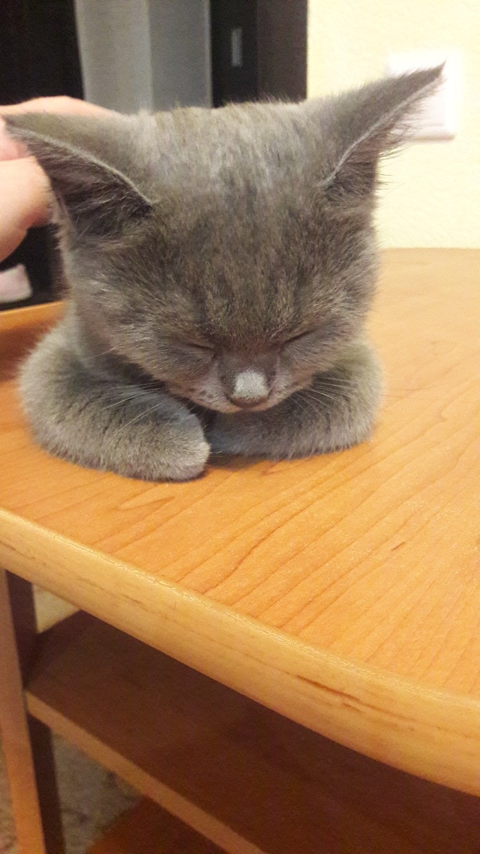 Сон победил