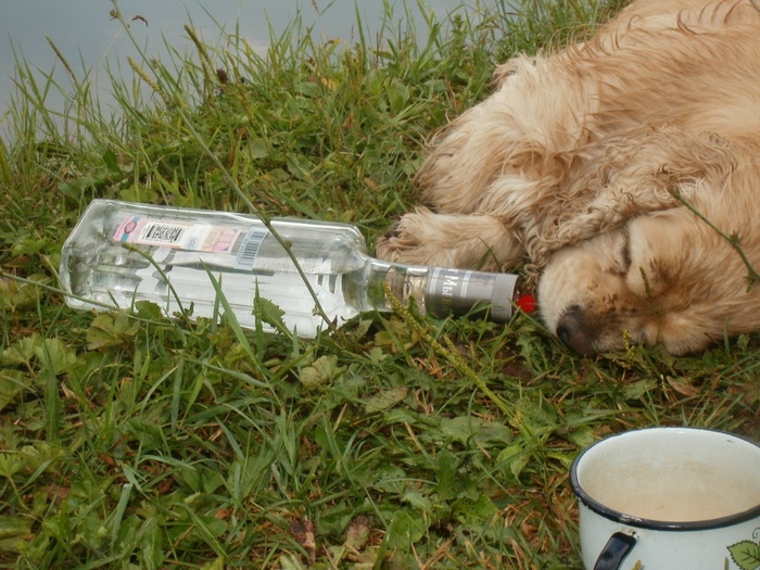 Пятница однако